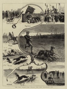 The Dog Derby, Trials for Waterloo Cup